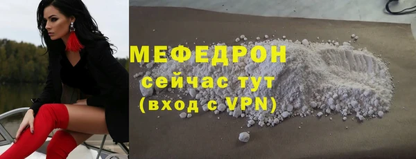 прущие грибы Богданович