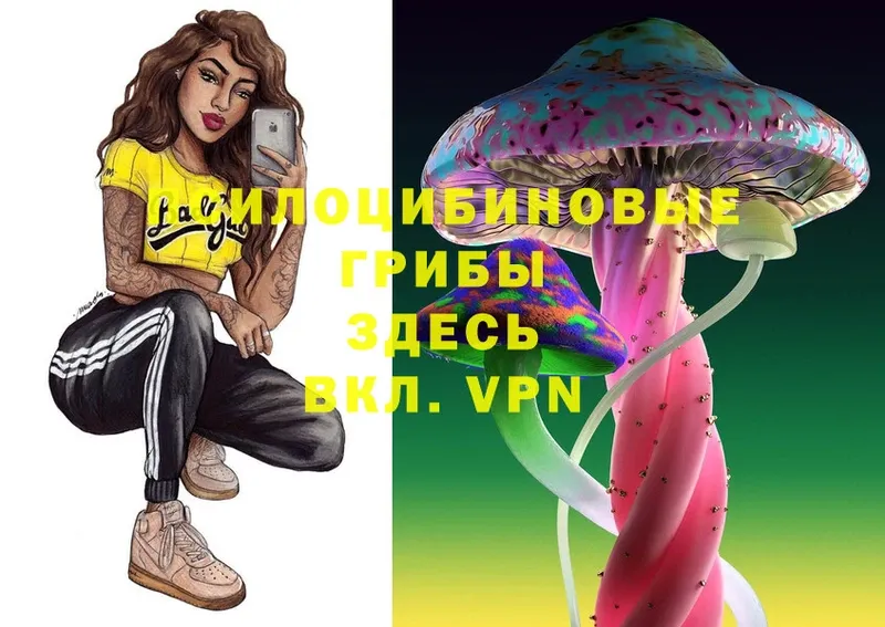 сколько стоит  Гай  Галлюциногенные грибы Magic Shrooms 